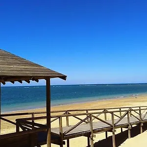 https://apartment-almadraba.es-andalucia.com